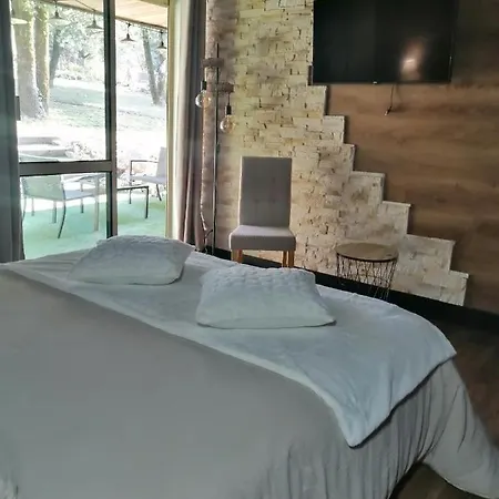 Lapausedegout Piscine Climatisees Jacuzzi Terrasse Konukevi 3*