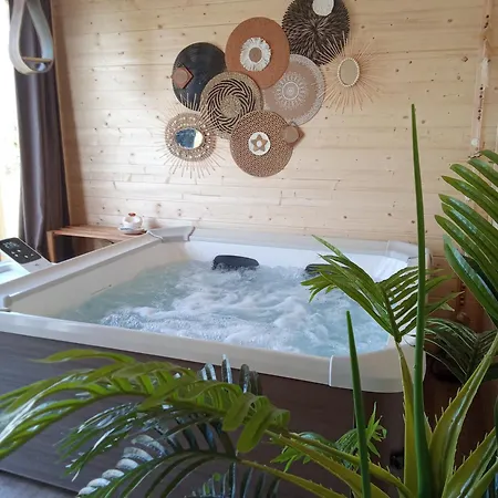 Lapausedegout Piscine Climatisees Jacuzzi Terrasse 3*